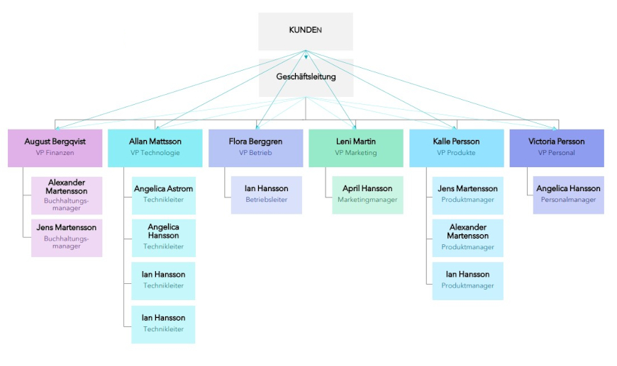 Das Korrekte Organigramm J V Furrer GmbH